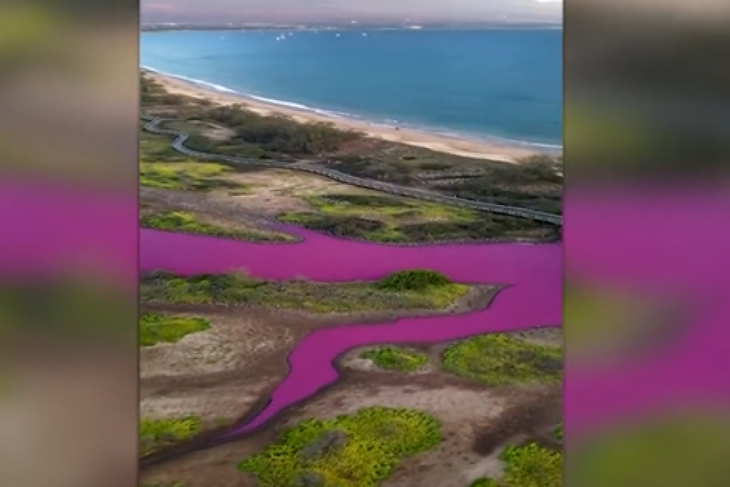 Zašto je jezero na Havajima odjednom postalo jarko ružičasto