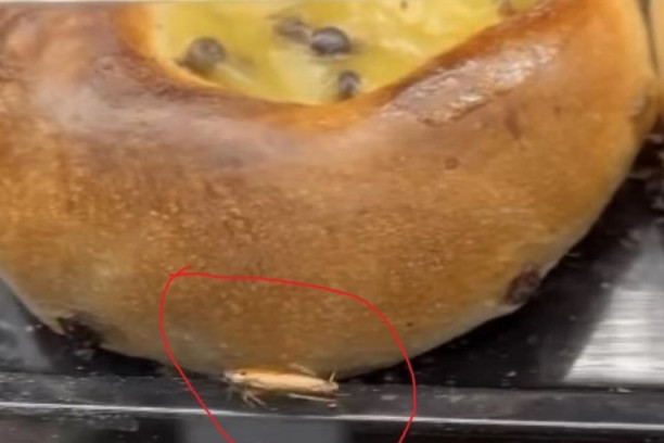 Uz pecivo i gratis buba: U beogradskoj pekari snimljen insekt kako puzi pored hrane! (FOTO)