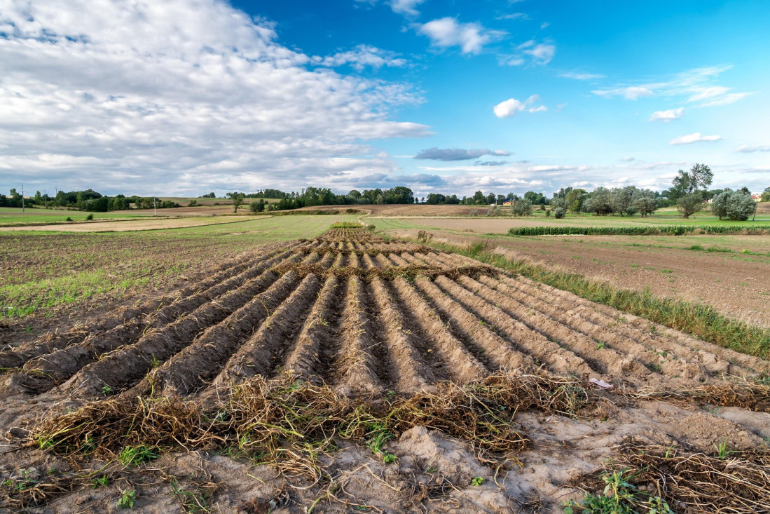 ePodsticaji: Novi rokovi i pravila za poljoprivredne podsticaje