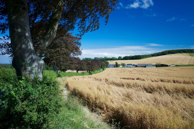 Srpska zemlja vredi kao blago: Evo koliko košta hektar oranice u regionu i Evropi – iznenadiće vas najskuplja lokacija!