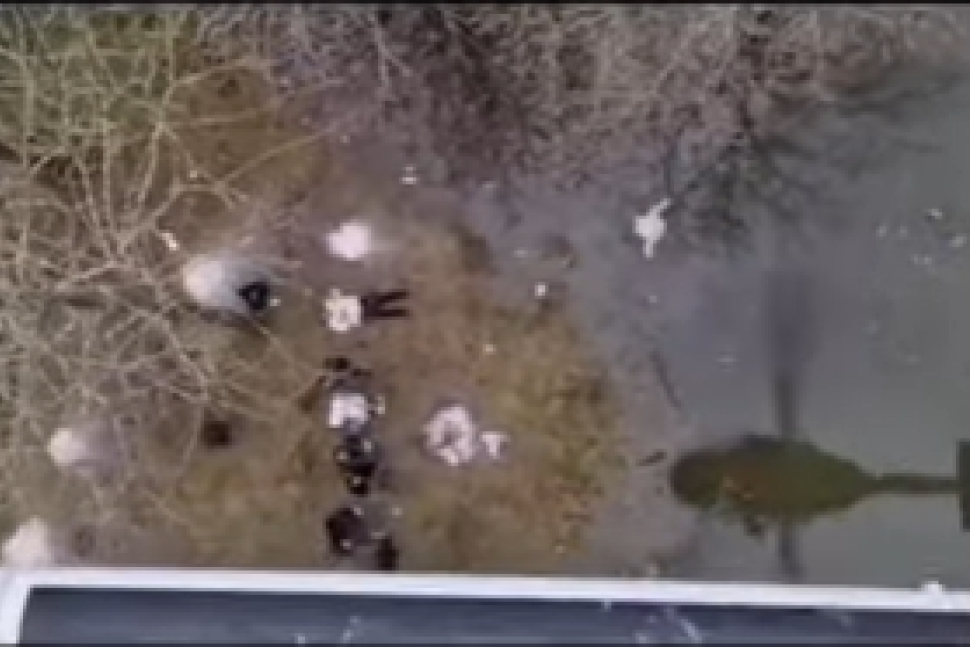 Dramatična akcija spasavanja u Hrvatskoj! 28 osoba promrzlo u poplavljenoj šumi, među njima i deca (VIDEO)