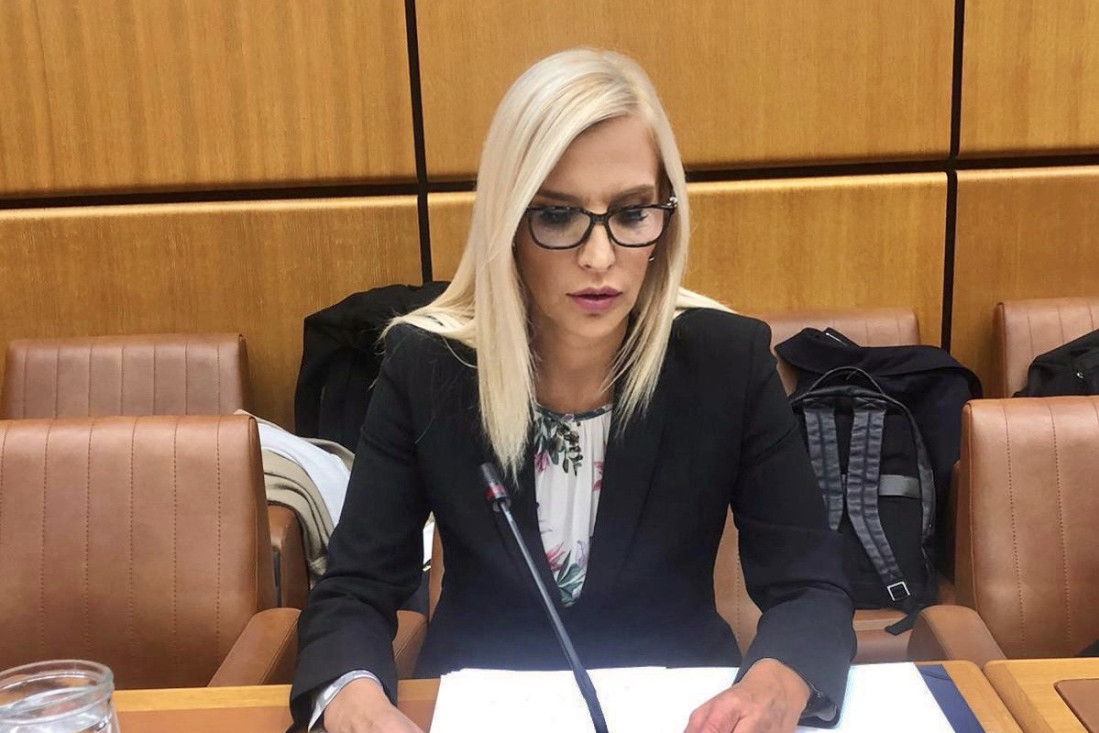 Ministarka pravde predstavila nacrt rezolucije o zaštiti uzbunjivača: Pravo na uzbunjivanje, predstavlja ljudsko pravo