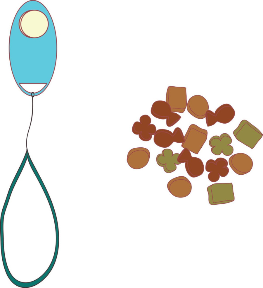 Moguća misija: Inovativna metoda za dresiranje mačke obezbediće zabavu i za vlasnika i za ljubimicu