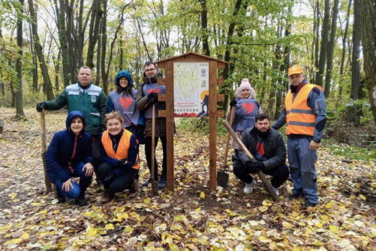 Bravo! Volonteri zasadili 1.300 sadnica bukve i hrasta u Nacionalnom parku Fruška gora