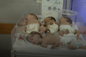 Ovo su prevremeno rođene bebe koje su evakuisane iz Gaze: Premestiće ih u Egipat (VIDEO)