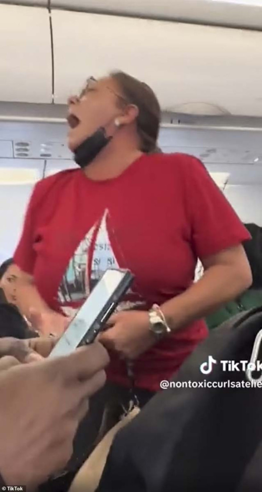 Ne može skandaloznije od ovoga: Usred prepunog aviona pokušala da izvrši nuždu pred dvoje dece!