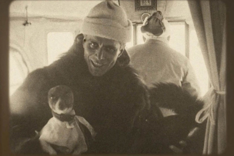 Uzbudljiva istinita priča o psu u neverovatnoj ekspediciji na Severni pol: "Titina" u bioskopima (FOTO/VIDEO)