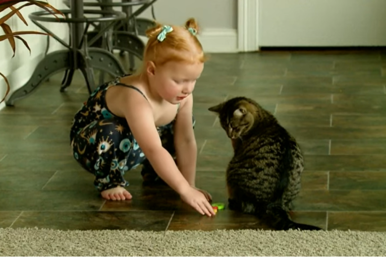 Najmlađa članica Mense ušla u Ginisa: Sa 12 meseci znala boje, brojeve, abecedu, a sa dve godine već umela da čita