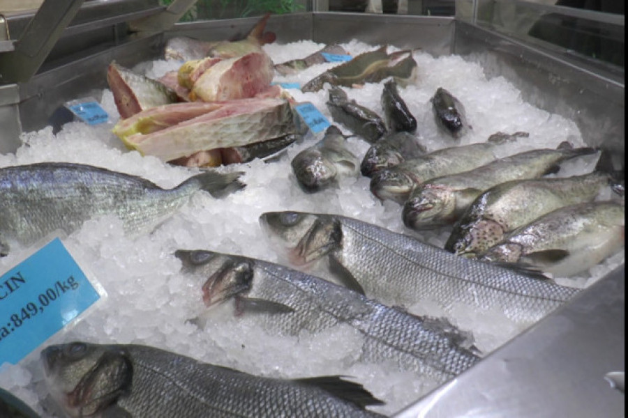 Riba na čačanskoj pijaci jeftinija nego prošle godine (FOTO)
