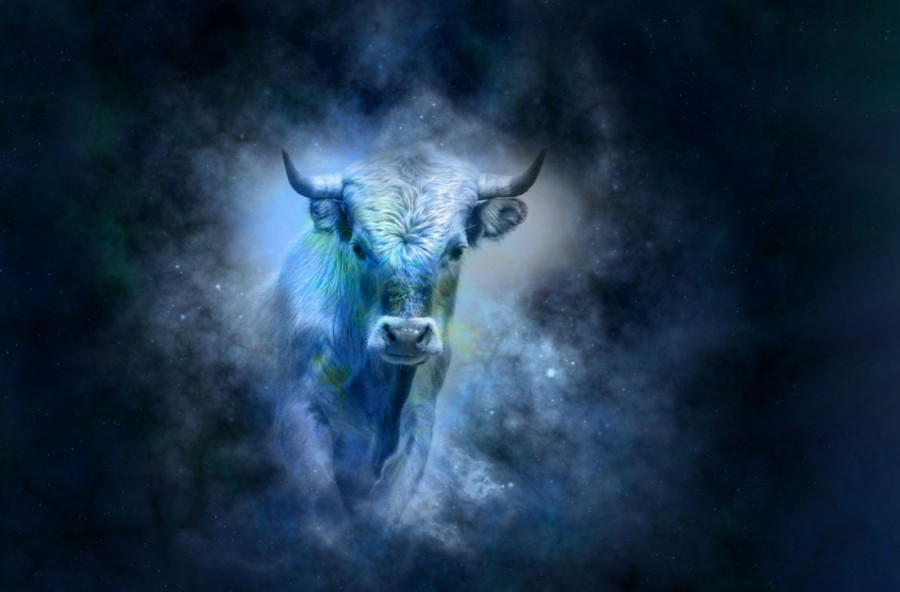 Po čemu se razlikuju Bikovi rođeni u aprilu od onih koji su se rodili u maju: Šta mislite koji su otvoreniji i fleksibilniji