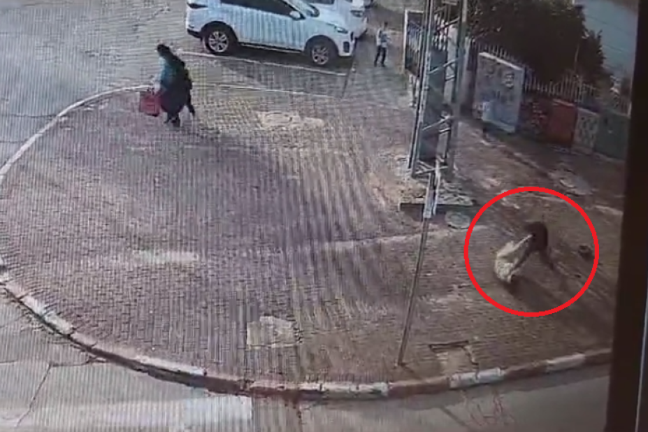 Trudnica izbodena nasred ulice! Napadač nastavio da se iživljava čak i kad je pala, ni beba koju je nosila nije preživela (VIDEO)