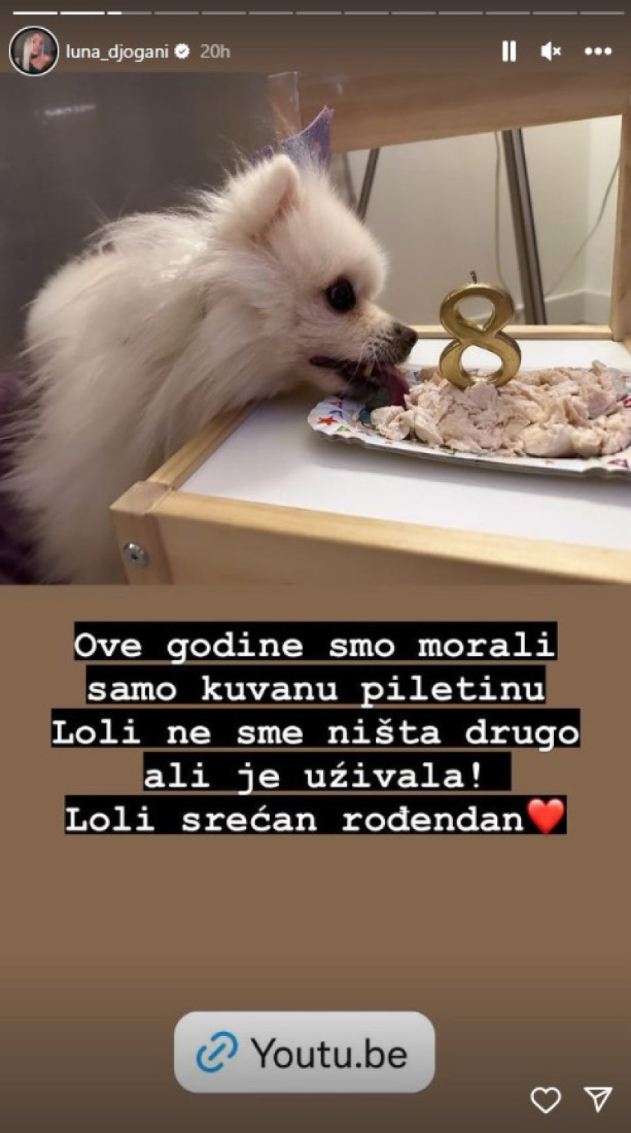 Rođendan psu Lune Đogani