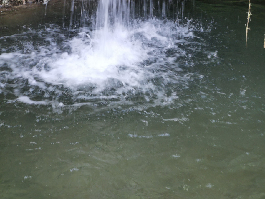 Ovo je najpopularnije srpsko selo tokom posta: Ljudi dolaze sa svih strana da kupe ribu, najveća potražnja je za Nikoljdan (FOTO)
