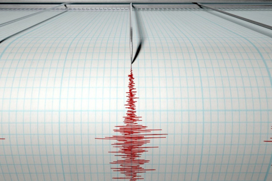 Zemljotres jačine 5 stepeni po Rihteru pogodio Meksiko: Treslo se u blizini poznatog letovališta