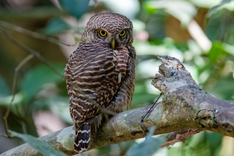 Misteriozan nestanak na Zelenom vencu! Stigla iz Beča pa joj se gubi svaki trag
