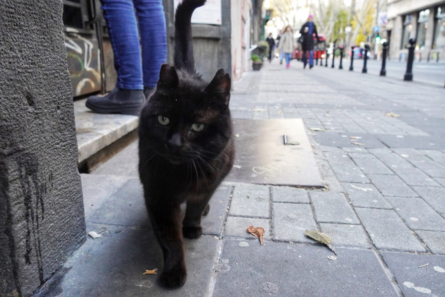 Ujutru ledena kiša i sneg, tokom dana toplije, suvo i sunčano vreme, temperatura i do 14 stepeni