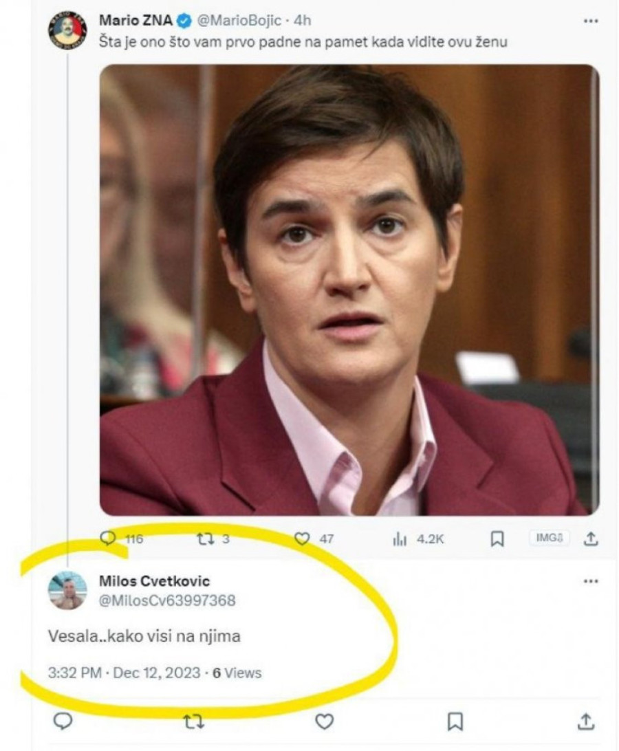 Jezive pretnje smrću premijerki Brnabić: Užasan komentar na mrežama: "Vešala...kako visi na njima" (FOTO)