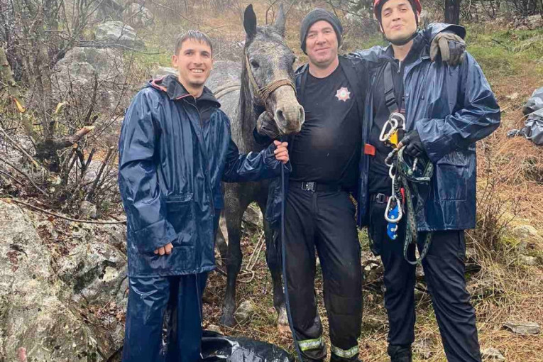 Konj upao u provaliju duboku šest metara: Hrabri vatrogasci ga spasili iz jame u selu kod Cetinja! (FOTO)