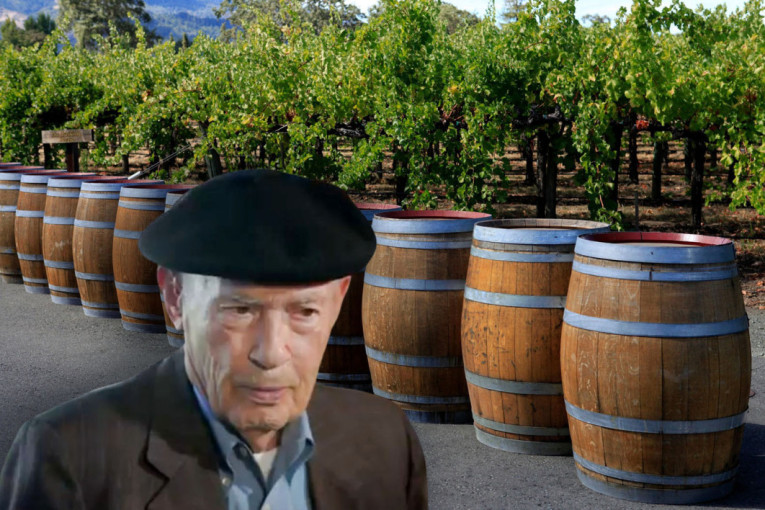 Kako je Miljenko od američke Nape napravio drugu vinsku Francusku (FOTO)