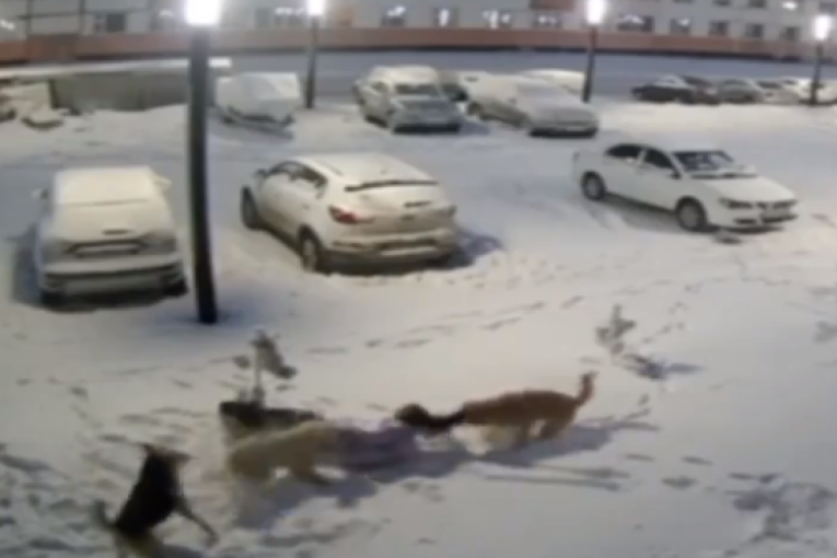 Grupa pasa lutalica napala devojčicu: Oborili je na zemlju i izujedali, hitno prebačena u bolnicu, kamera snimila sve (VIDEO)