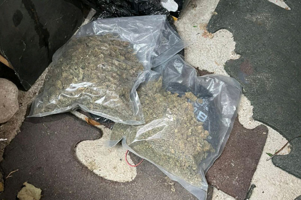 Velika zaplena droge na Gostunu: U kabini kamiona vozio 21,8 kilograma marihuane
