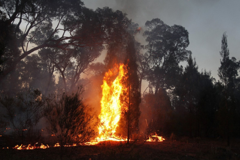 Toplotni talas pogodio Australiju: Izdata upozorenja, temperature dostigle 46 stepeni, u jednoj oblasti gori 50 požara
