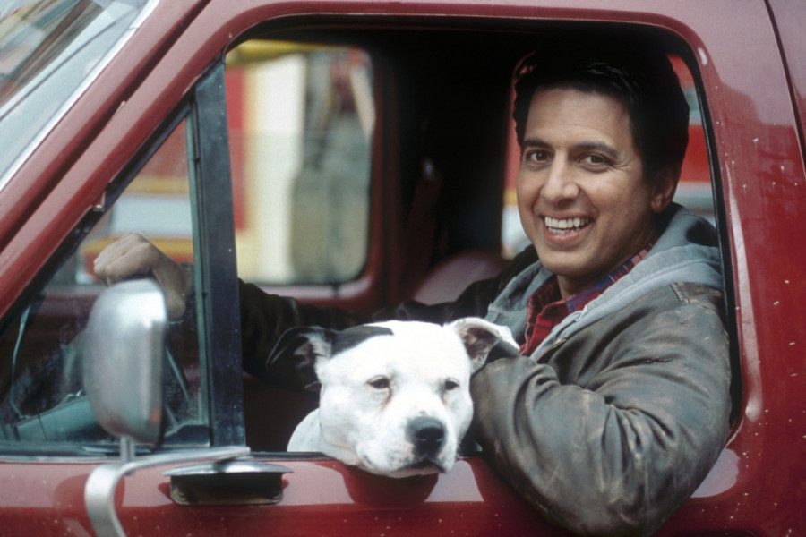 Glumci iz serije "Svi vole Rejmonda" se ponovo okupljaju: Veliki jubilej kao omaž preminulim kolegama (FOTO)