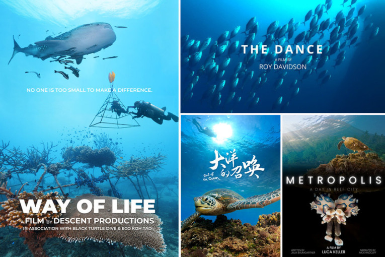 Zavirite u magičan podvodni svet: Festival filmova koji otkrivaju čuda prirode (GALERIJA)
