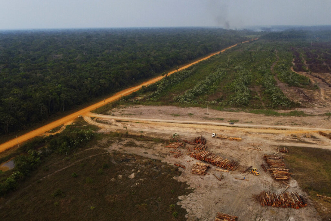 Asfaltiraju auto-put kroz Amazon: Najveća tropska prašuma u opasnosti
