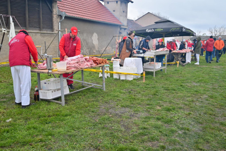 24SEDAM RUMA Održan Sremski svinjokolj - manifestacija koja čuva stare običaje i tradiciju Srema (FOTO)