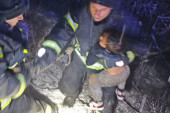 Dečak (3) se oporavlja posle udesa: Trudna majka poginula, a njega iz kanjona izvukli vatrogasci