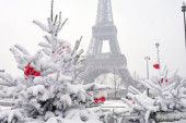 Ovo su najlepše novogodišnje jelke u Parizu! Teško je odlučiti koja je od koje lepša (FOTO)
