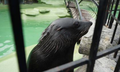 Sunce i toplo vreme širom Srbije: Temperatura do 23 stepena