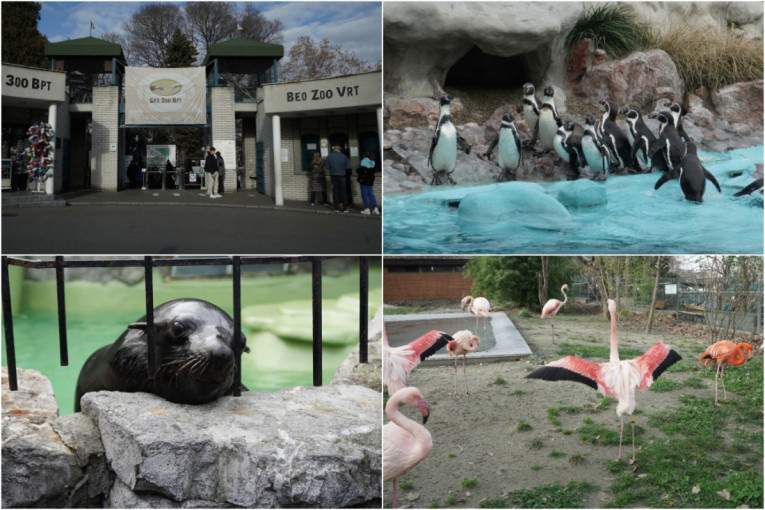 TikTok snimak iz Sinja nasmejao region: Coca-Cola sa imenima Jovan, Dimitrije i Bora usred Dalmacije (VIDEO)