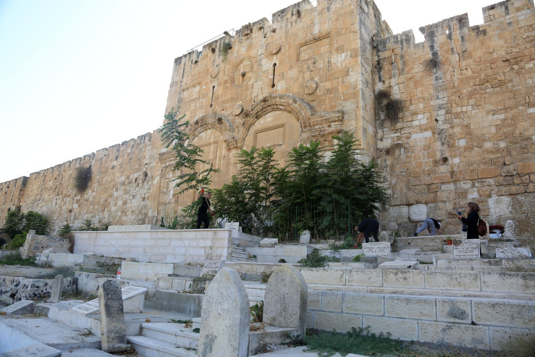 Izraelac odrubio glavu magarcu, pa je ostavio na muslimanskom groblju u Jerusalimu (VIDEO)