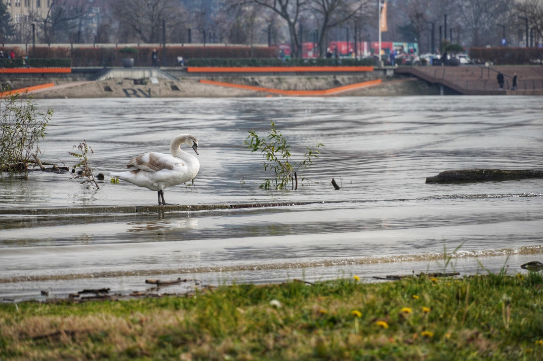 AMSS upozorava: Višesatna čekanja za kamione na Batrovcima i Preševu