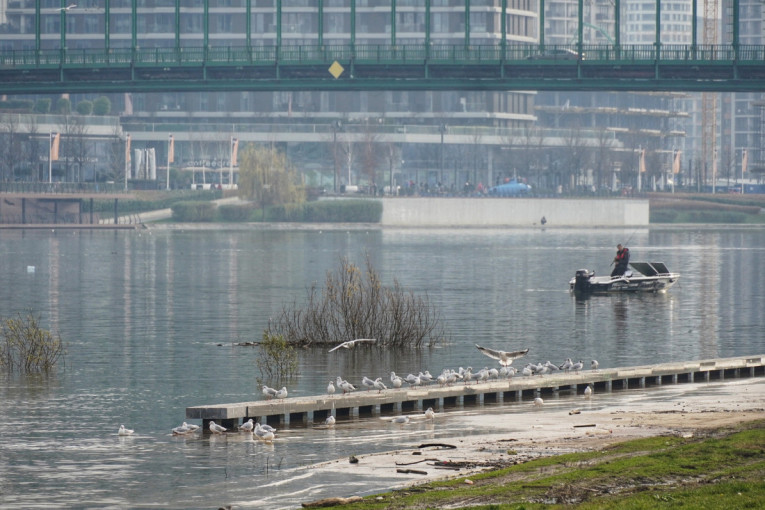 Ledostaj na rekama: RHMZ izdao upozorenje, Velika Morava u porastu