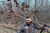 Darko Lazić otišao u šumu po badnjak: Tek da vidite ko mu pravi društvo! (FOTO)
