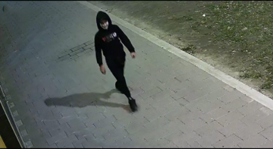 Dečak iz Novog Sada, osumnjičen za ubistvo, ponovo pobegao: Sa mlađim bratom približio se "crnom rekordu" od 100 krivičnih dela!