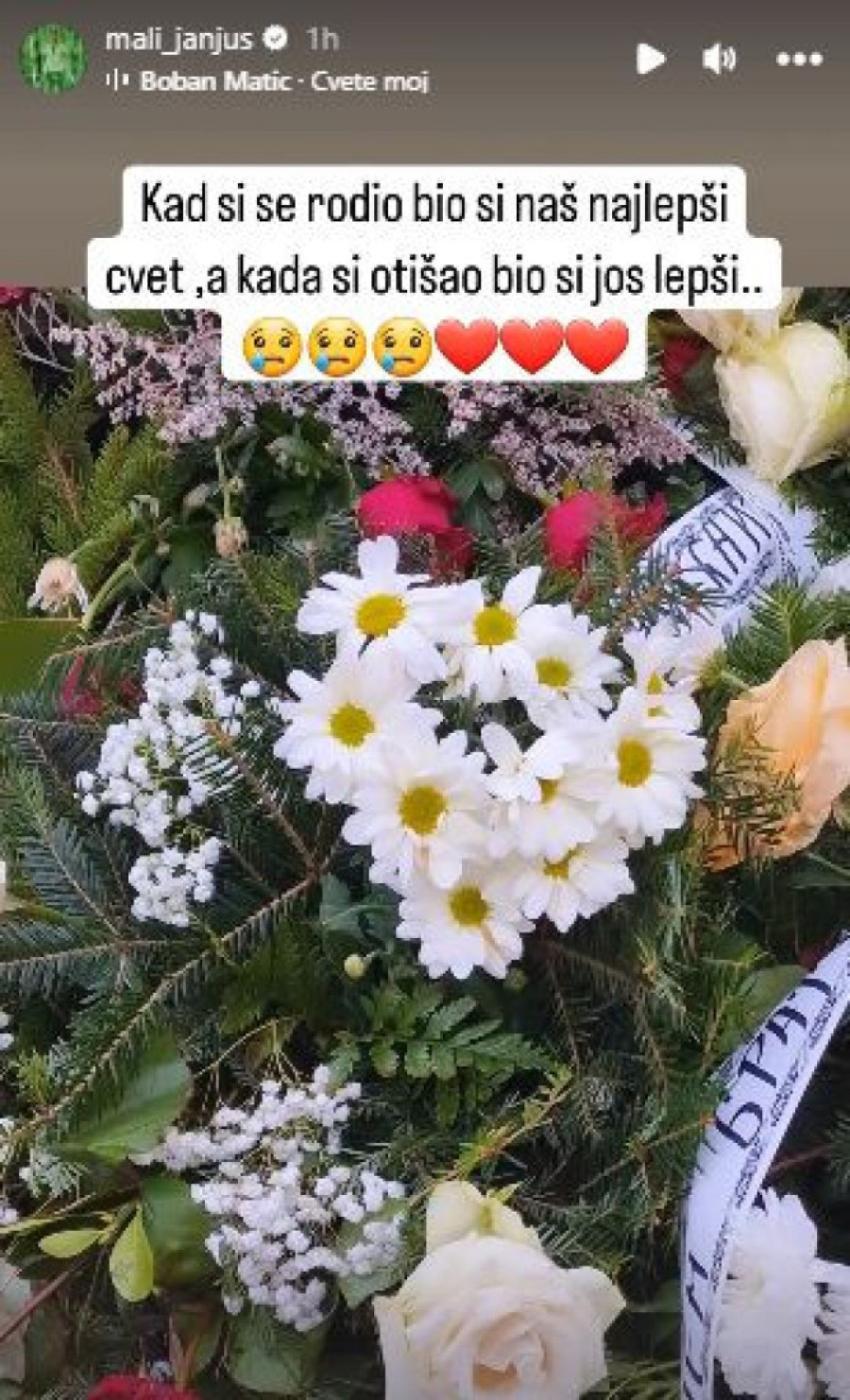 „Kada si se rodio, bio si naš najlepši cvet..." Janjuš posetio grob brata Mihaila: Zadrugar skrhan bolom (FOTO)