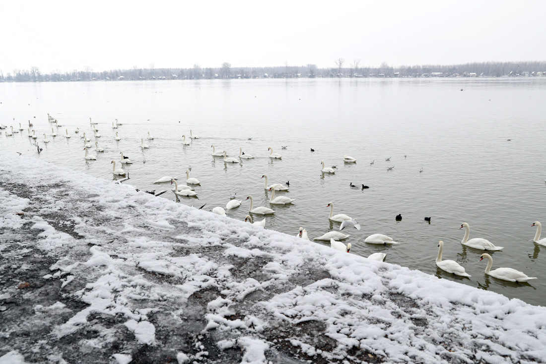 Uključeni meteo-alarmi! Početak godine biće suv i hladan, a onda od vikenda čeka nas temperaturni sunovrat!