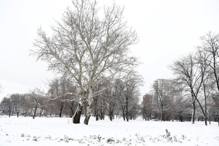 Sneg već veje u jednom delu Srbije: Evo kada se očekuje u Beogradu i drugim predelima