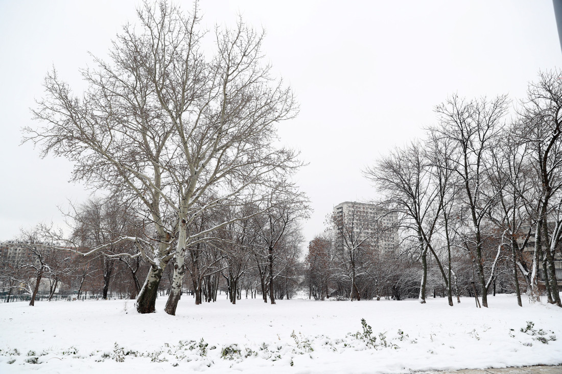 Netanjahu stigao u Belu kuću, Tramp uveren u postizanje mirovnog sporazuma (FOTO)