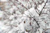 RHMZ najavljuje sneg: Evo kakvo nas vreme očekuje naredne nedelje