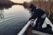 Udar na ribokradice: "Vode Vojvodine" sprovele veliku akciju - oduzeto osam čamaca i 11 kilometara mreže (FOTO)