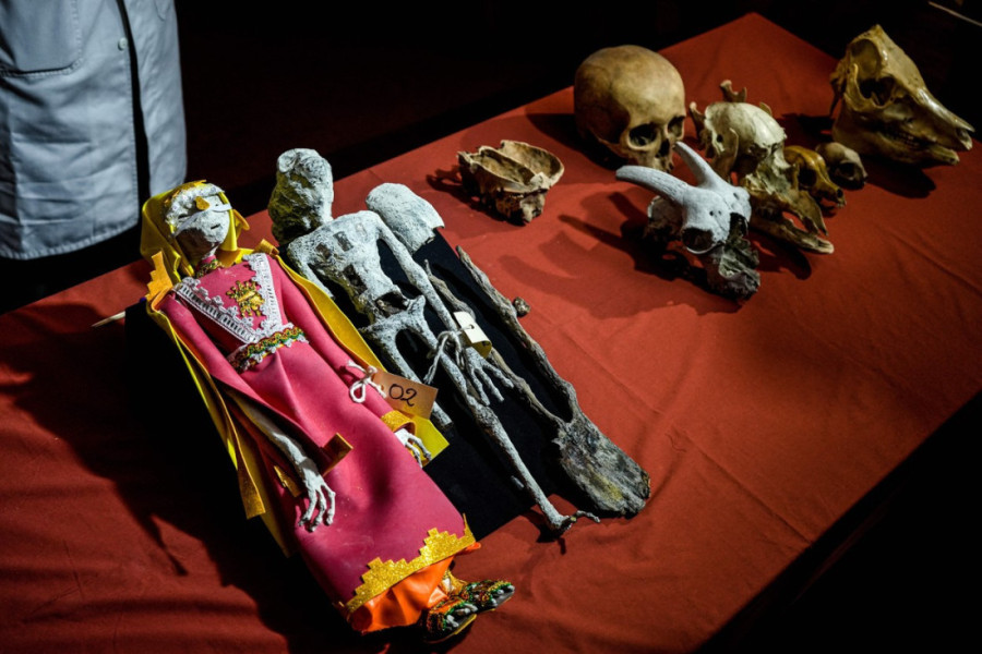 Naučnici se obratili javnosti: Saopštili šta su otkrili o "vanzemaljskim mumijama" iz Perua (FOTO)