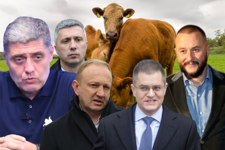 Đilas je najveći lopov od svih, a Vidojković pravo govedo: Miroljub Petrović napravio listu od Top 10 brdskih goveda u Srbiji
