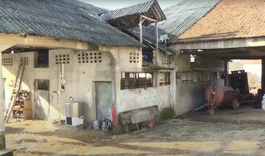 Miloš se odrekao studija i grada, pa se vratio na selo: Zasnovao porodicu, a sada ima poruku za sve (VIDEO)