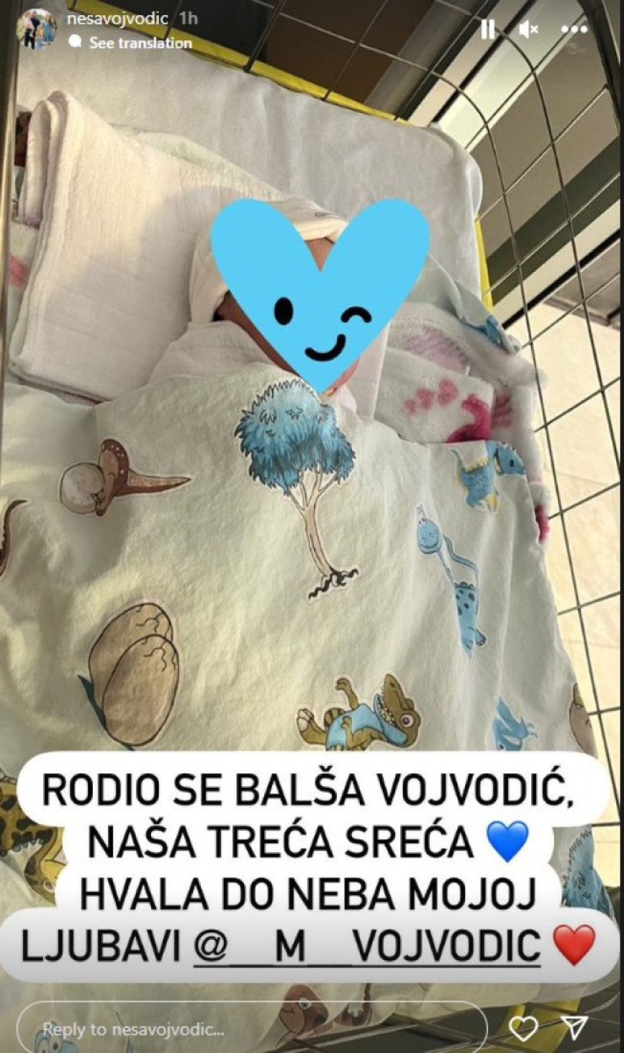 Nekadašnja zvezda "Granda" dobio treće dete: Nakon blizanaca, stigao još jedan sin!