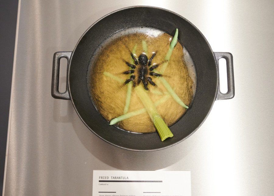 Imate li dovoljno jak želudac za Muzej odvratne hrane u Švedskoj? Najsmrdljiviji sir na svetu, paradajz sok sa kozjim okom i još gadosti